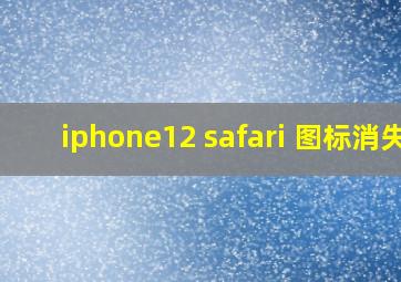 iphone12 safari 图标消失